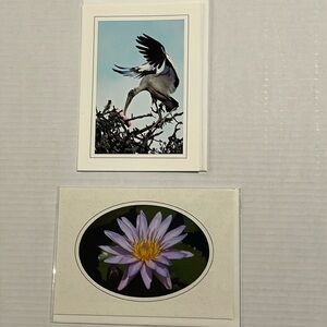 03 SET OF 12 Nature Photo Cards: elk, iguana, snow, desert arch, bird, moose